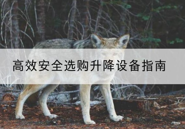 忻府升降货梯厂家推荐-*安全选购升降设备指南