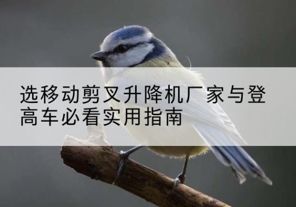 忻府电动升降机厂家-选移动剪叉升降机厂家与登高车必看实用指南