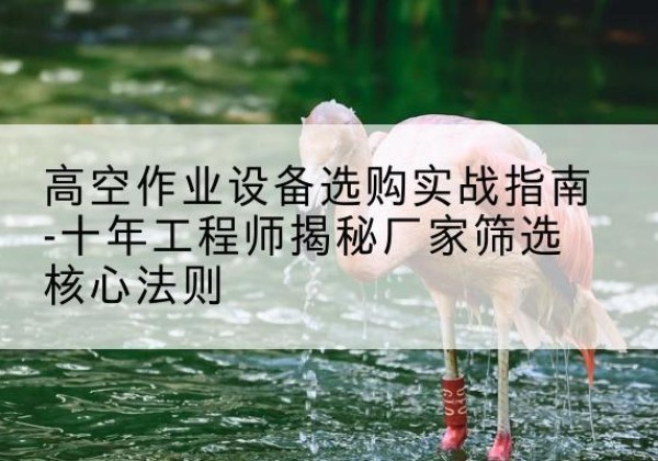 忻府剪叉式升降机厂家-高空作业设备选购实战指南-十年工程师揭秘厂家筛选核心法则